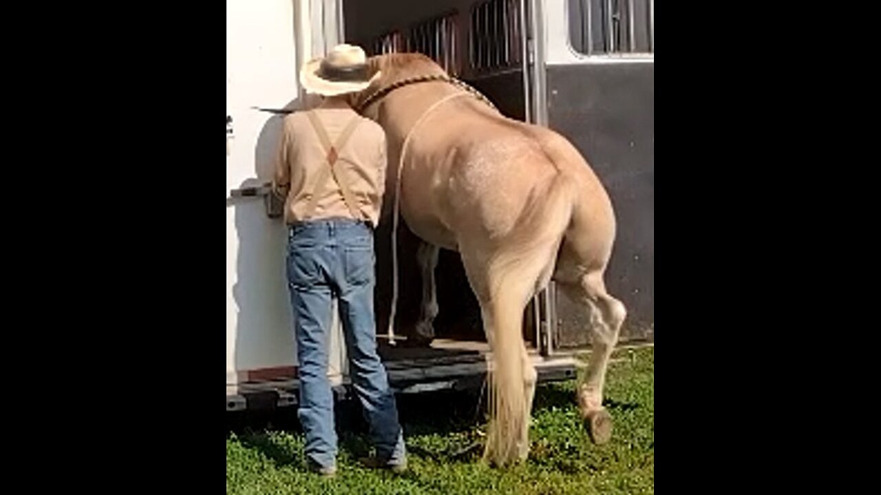 Ellis - trailer training session two - 24 July 2025