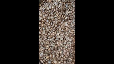 Part 1 | Roasted Bean