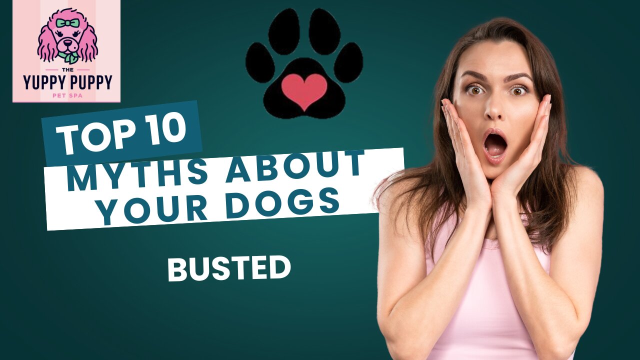 "Shocking Dog Myths You Still Believe!"