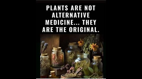 Essential Oils- Nature's Original Medicine