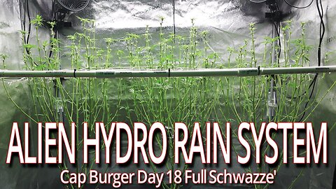 Alien Hydro Rain System, Cap Burger Day 18 Schwazze'