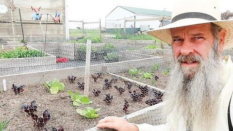 "Overcoming Challenges in Food Cultivation Predicted for 2024: Your Ultimate Guide"