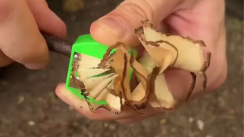 Camping skills #bushcraft #survival #outdoors #forest #camping