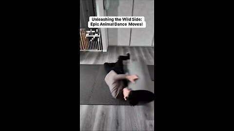 How different animals break dance😂😂