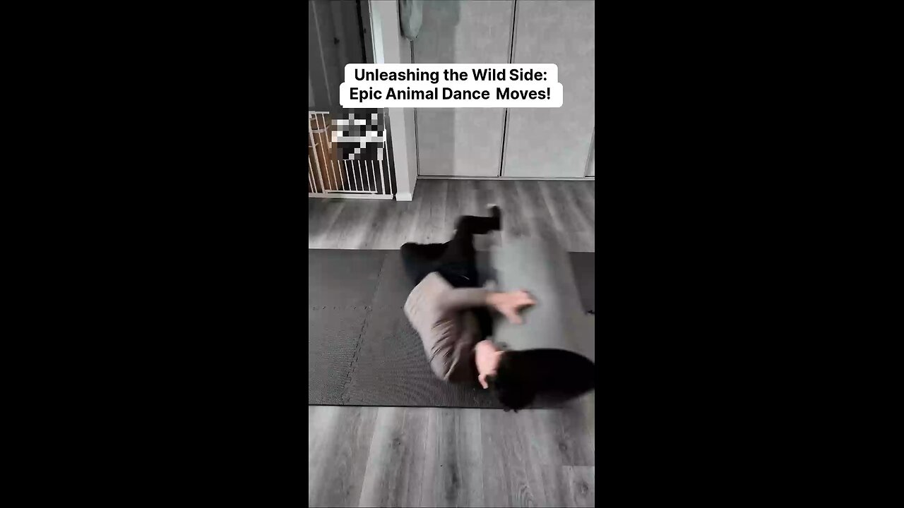 How different animals break dance😂😂