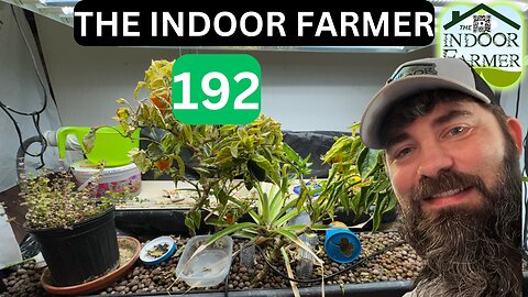 The Indoor Farmer ep 192, Still No More Praying Mantis Hatchlings What Else Is Growing On?