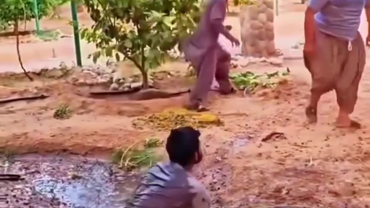 😂😂😂😂😂😂😂