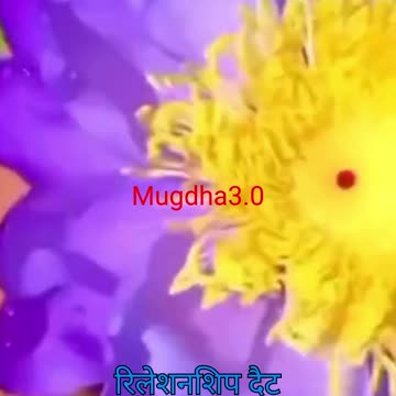 Cut Negativity, Embrace Positive Growth