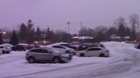 Born in a wrong climate (fixed)