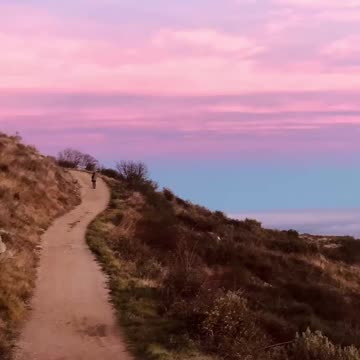 What’s Driving You?