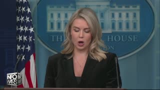 INFOWARS LIVE - 11/21/25: The American Journal with Breanna Morello / The Alex Jones Show / The War Room With Harrison Smith