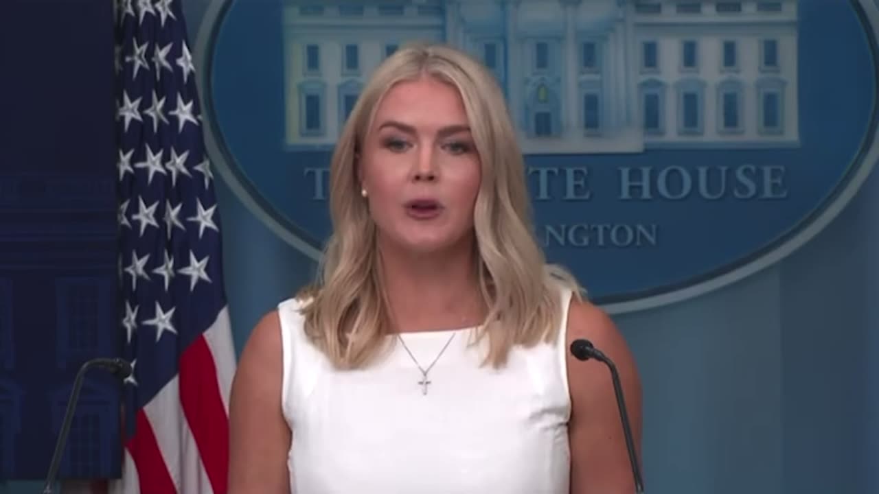 Karoline Leavitt OWNS NYT Reporter for Asking Stupid Question About Trump-Putin Phone Call