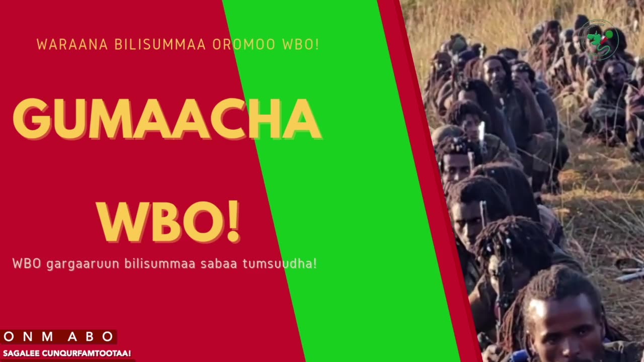 Gabaasa Gumaacha ONM-ABO Fulbaana 11-2025 itti dhiyaadhaa!