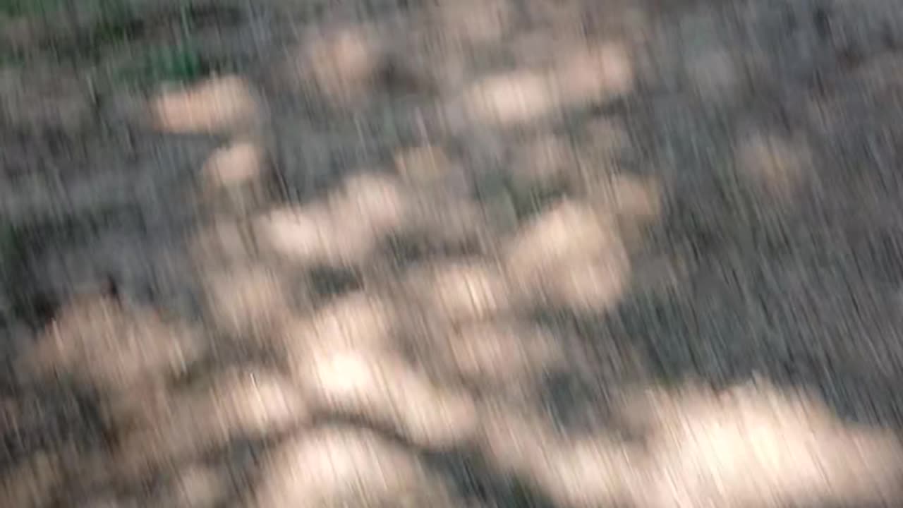 YEEE HAWWW