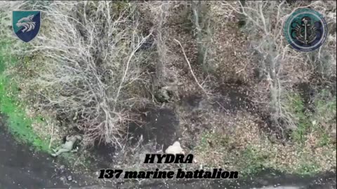 🚁🔥 Ukraine Russia War | Ukrainian FPV Strikes Russian Vehicle in Donbas | RCF