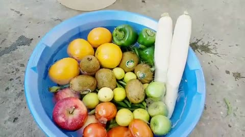 Veggies and Fruits wash and sanitization