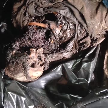 Ukraine war combat footage 7/26/25