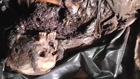 Ukraine war combat footage 7/26/25