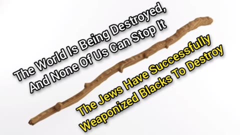 The World Is Being Destroyed & Nobody Can Stop It