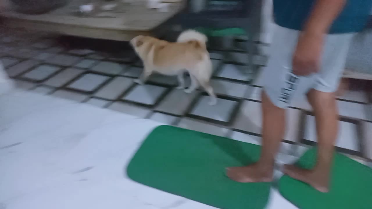 Chiku ki zid