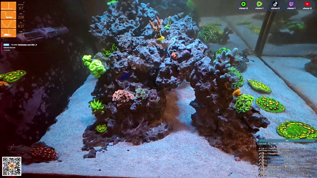 24/7 Real Live Reef Stream