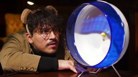 😂🐹 Hamster Masterclass! | FunFM