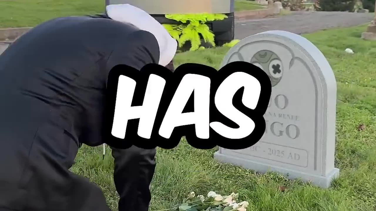 mrbeast