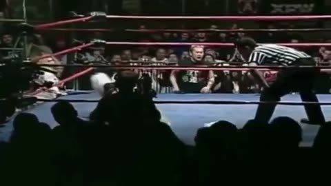 WWE Divas Raw Bra and Panties Independent Fight