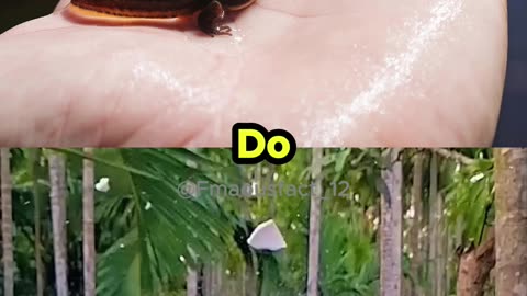 Neil deGrasse Tyson On Regrowing Limbs 💪