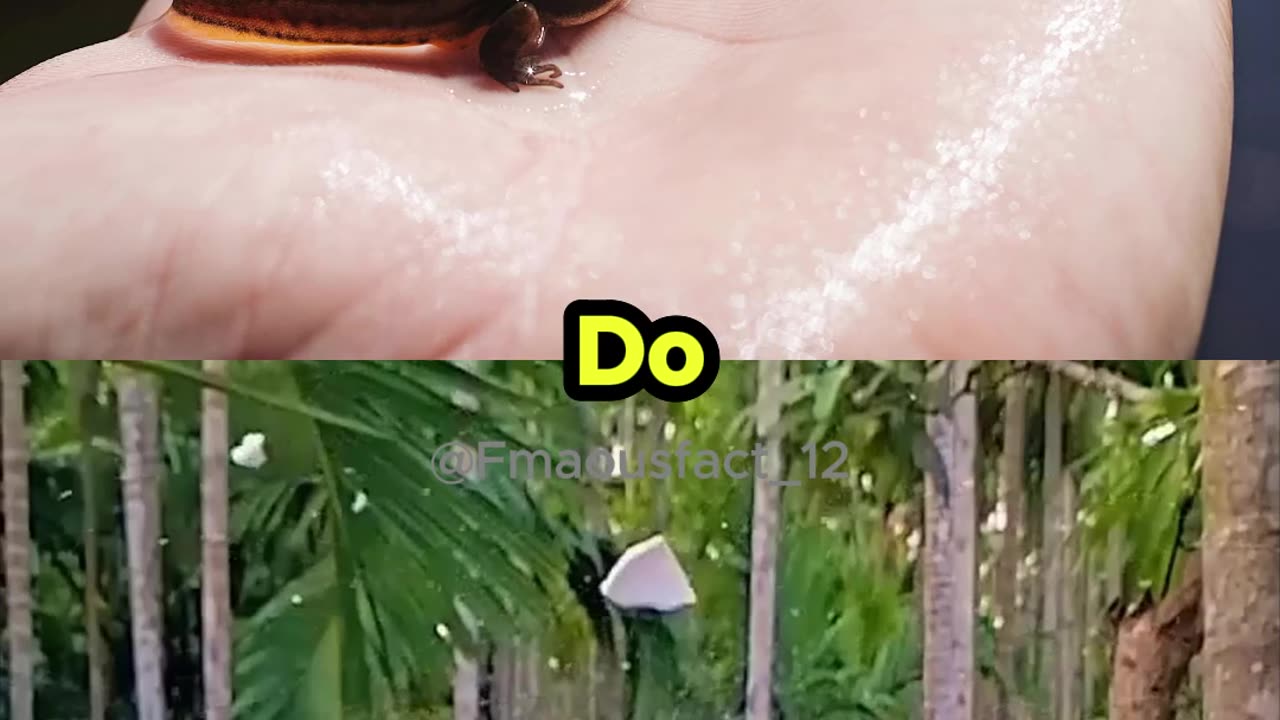 Neil deGrasse Tyson On Regrowing Limbs 💪