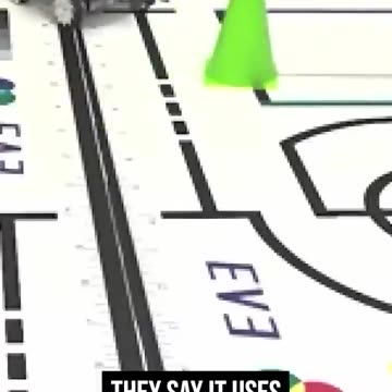 MINI BRAIN MADE FROM HUMAN STEM CELLS CONNECTED TO A ROBOT