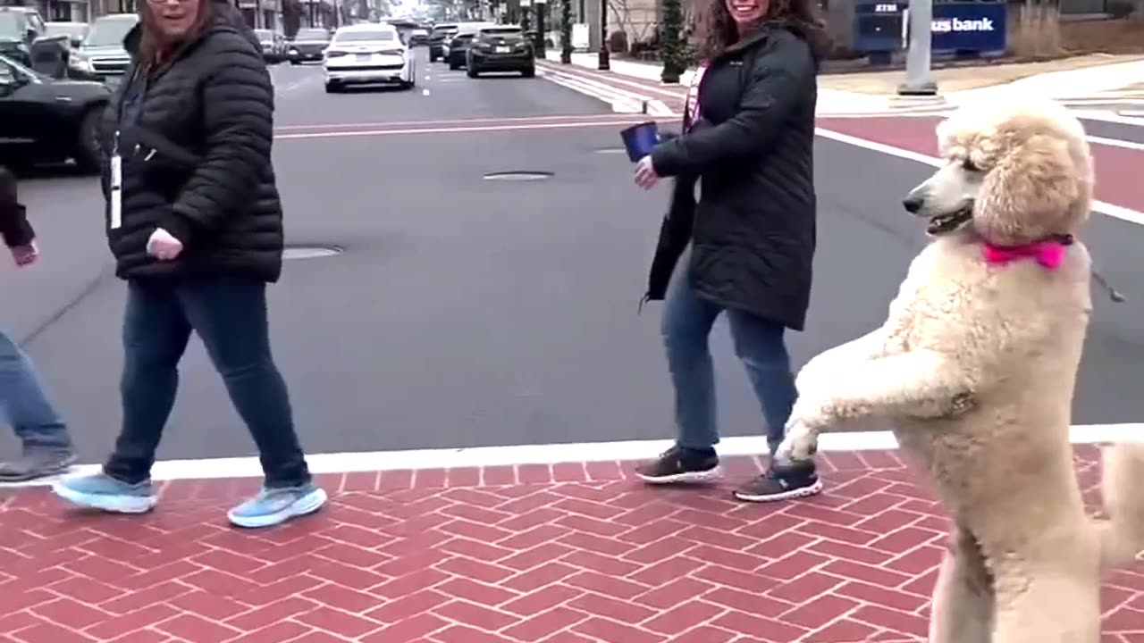 Funny Moments