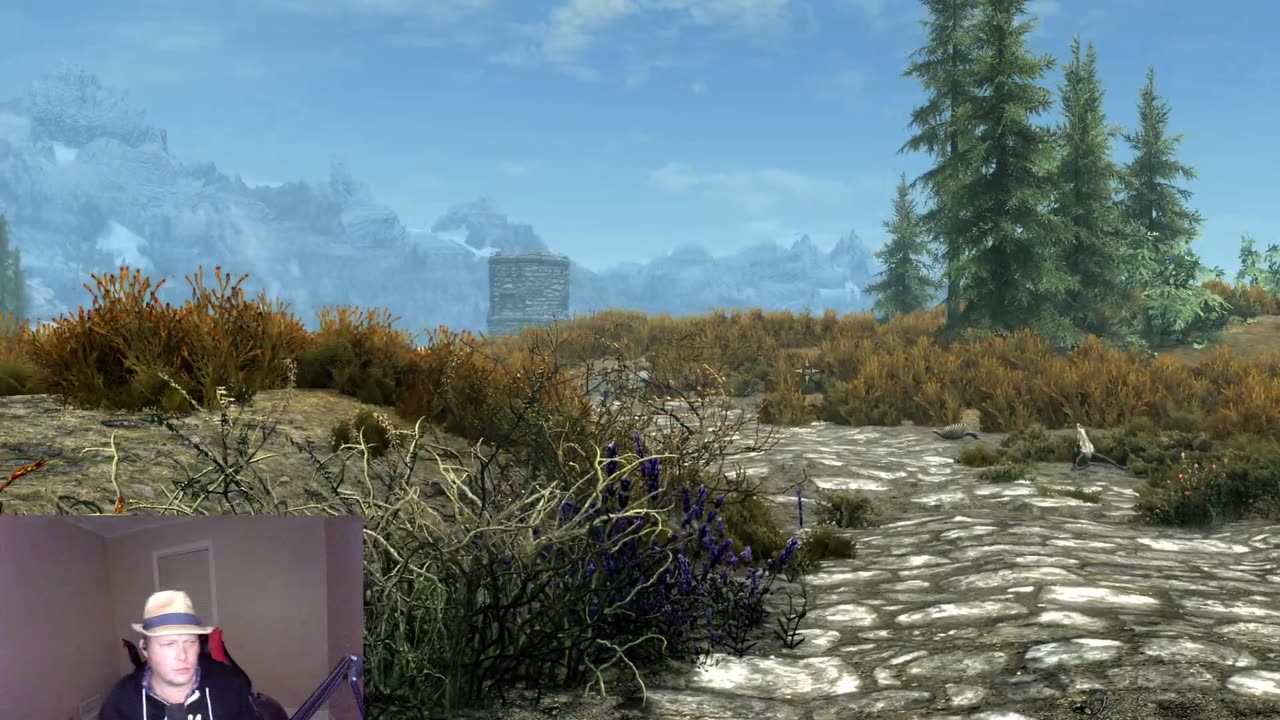 skyrimStream