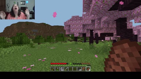 Playing Realms MInecraft with The Audacity from YT!