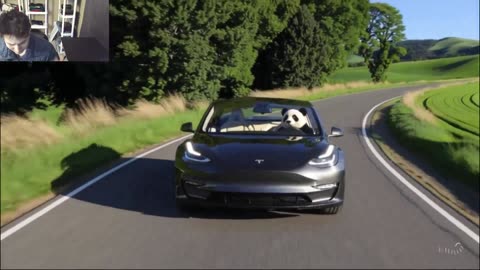 The Panda Bear Drives A Tesla Model 3 Car On The Roadway Fake Funny Parody Video