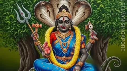 அன்னை சன்னதி TMS LEGEND M.THIRAVIDA SELVAN SINGAPORE TMS FANS