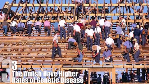 Top 10 Fascinatng Facts About the Amish