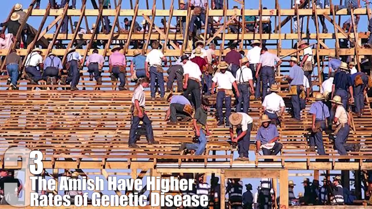 Top 10 Fascinatng Facts About the Amish