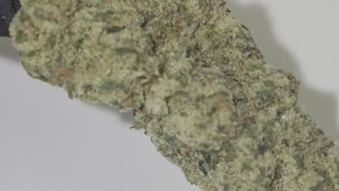 Frosty -DANK THC FLOWER 