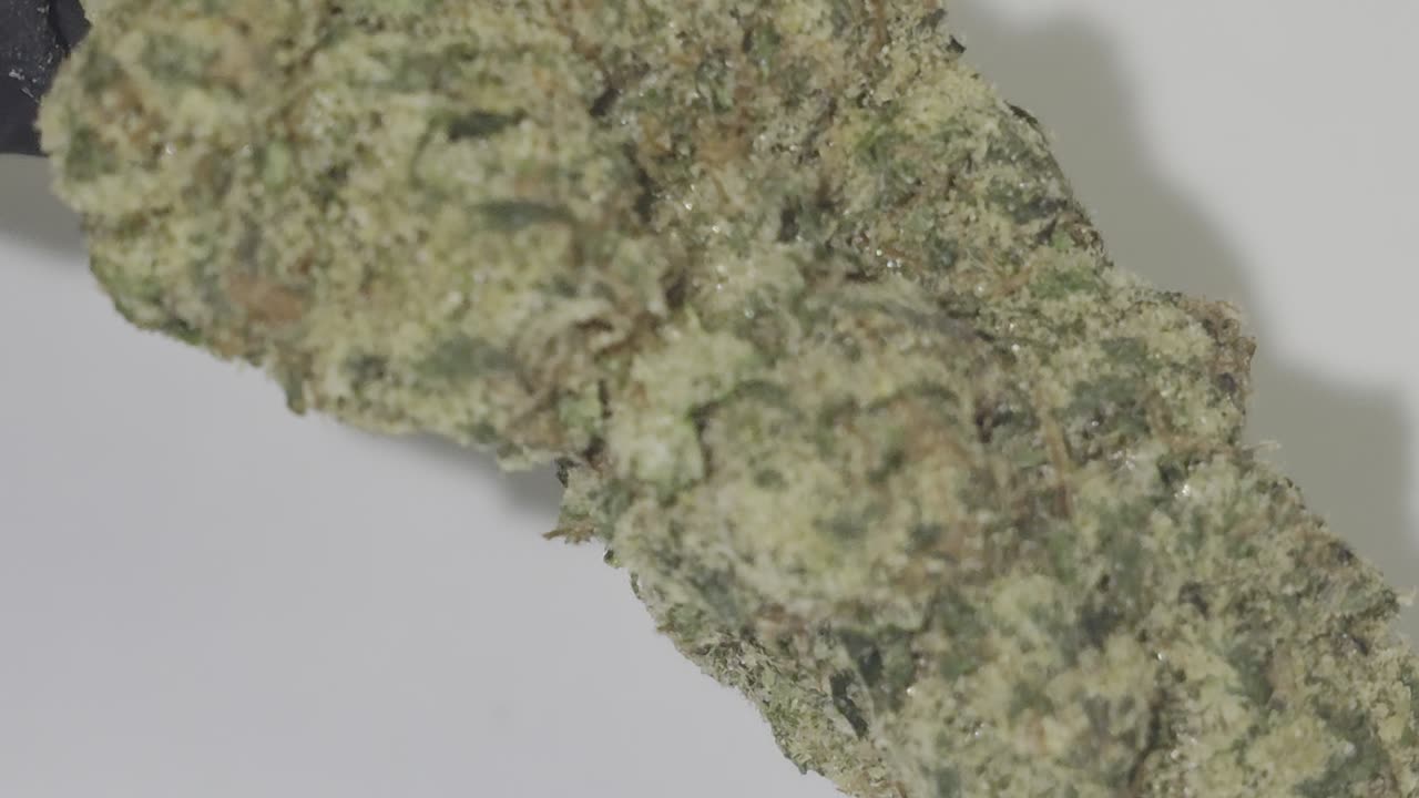 Frosty -DANK THC FLOWER