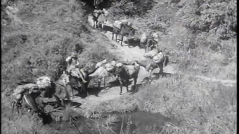 AMERICAN KACHIN RAN... - AMERICAN KACHIN RANGERS, BEHIND JAPANESE LINES, APPROXIMATEL - 111-adc-3132