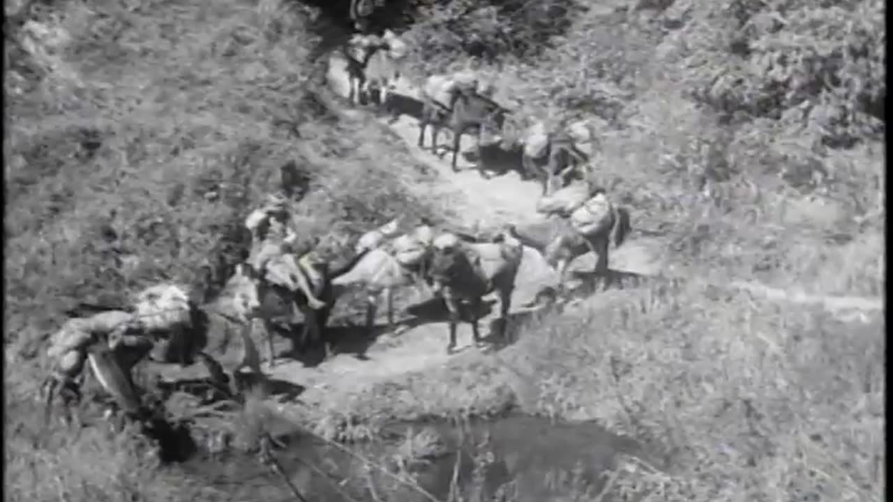 AMERICAN KACHIN RAN... - AMERICAN KACHIN RANGERS, BEHIND JAPANESE LINES, APPROXIMATEL - 111-adc-3132