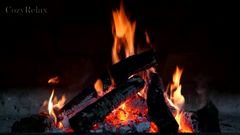 Enjoy a peaceful and pleasant moment to the sound of the warm fireplace.