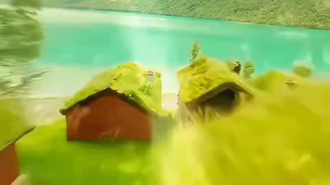 clip