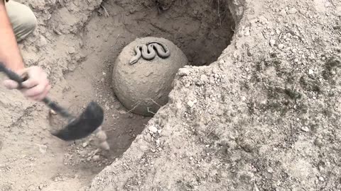 The Strangest Buried Treasure Guarded by a Black Serpent – Hidden Gold Mystery!