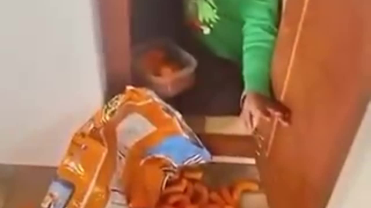kids will be kids