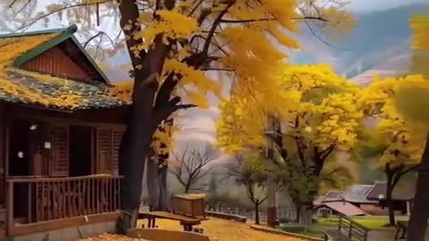 Beautiful video before bed ️ Autumn scenery Beautiful landscapes Autumn scenes