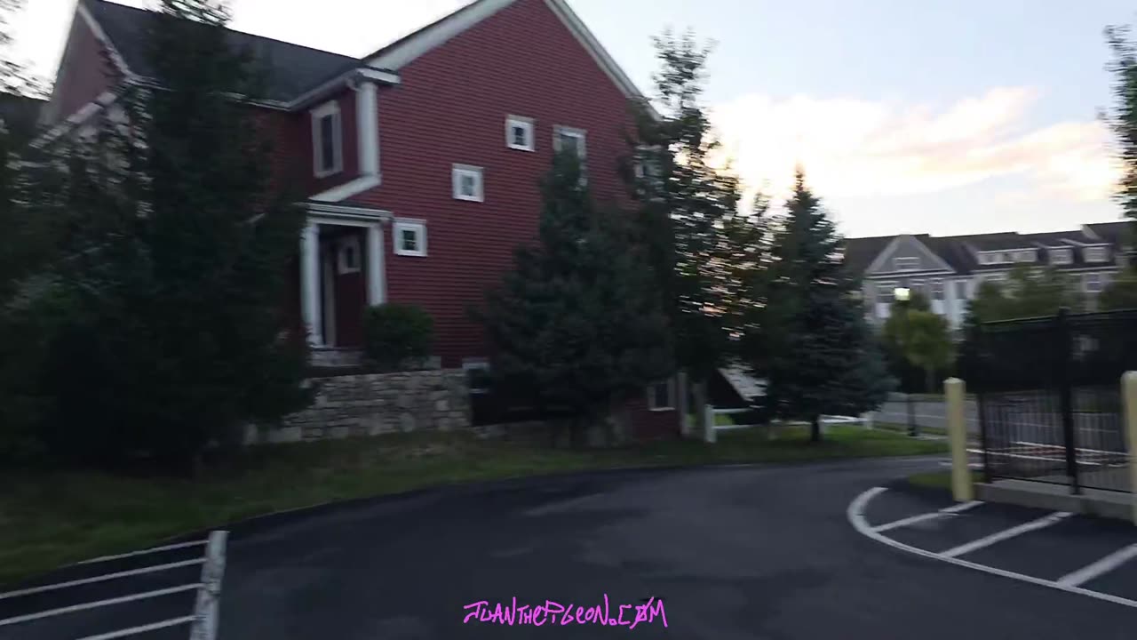 JTPFRAMINGHAM ON YT AND JUANTHEPIGEON ON KICK LIVE NOW!!!