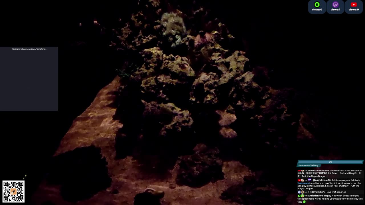 24/7 Real Live Reef Stream