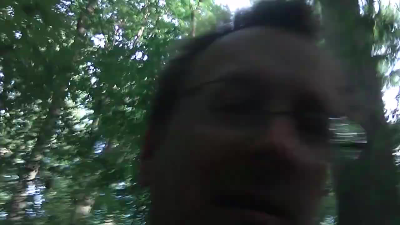Todd Thundercock: INCEL Stories_ #6 Lauren. Unintentional incest doesn't work either.